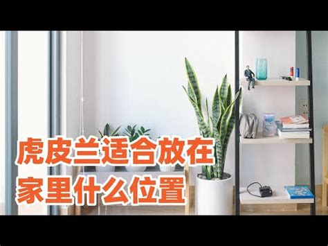 房間放娃娃好嗎|招厄運又擋桃花的5種臥房風水！改掉壞風水轉運趁現在